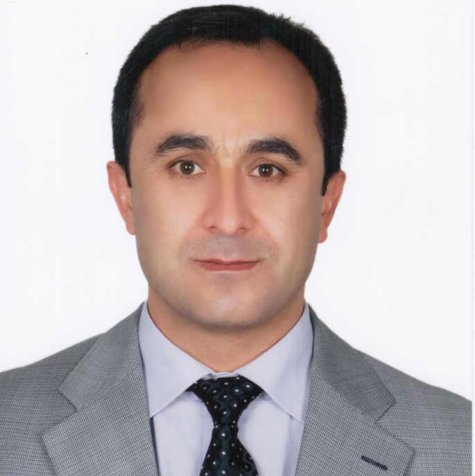 Portrait of Prof. Dr. Ismail Erturk